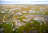 USA, Alaska, wetlands bordering the Gulf of Alaska