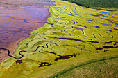 ALASKA, Homer, aerial landscape of Katmai National Park, Katmai Peninsula, Hallow Bay, Gulf of Alaska