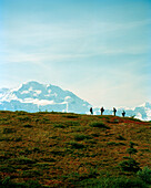 USA, Alaska, Denali National Park, people hike through the tundra with Mount Denali in the distance