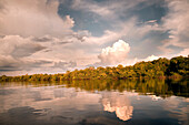 BRAZIL, Amazon Jungle, Amazon River tributrary and mangroves, Agua Boa fishing lodge