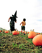 USA, California, girl and boy running in a pumpkin patch, Half Moon Bay