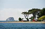 USA, California, farm by Hog Island, Tomales Bay