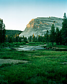 USA, California, the Merced River flowing though the Yosemite Valley floor, Yosemite National Park