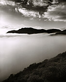 USA, California, a landscape of the Marin Headlands enshrouded in fog , B&W