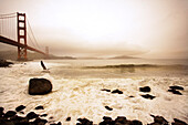 USA, California, San Francisco, the Golden Gate Bridge with a seagull and surfers, Fort Point