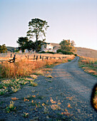 USA, California, Bolinas, farm on Hwy1 between Bolinas and Olema, Northern California