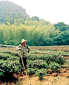 CHINA, Hangzhou, mid adult farmer holding work tool, Meijai Wu