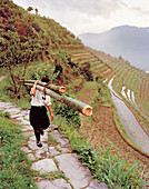 CHINA, woman carrying bamboo, Dragon Backbone Rice Terraces