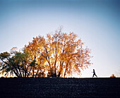 USA, Colorado, woman walking in Broomfield, Fall leaves