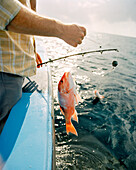 USA, Florida, man with red snapper on boat, Destin