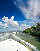 USA, Florida, fishing boats heading into the mangroves, Ivory Keys