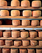 FRANCE, Saint-Point-Lac, stacks of Mont D’or cheese dry on racks at the Fromagerie Michelin, Franche-Comte region
