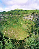 ECUADOR, Galapagos Islands, Los Gemelos Pit Crater, Santa Cruz Island