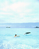 ECUADOR, Galapagos Islands, Gardner Bay, Espanola Island, swimming with a Galapagos Sea Lion