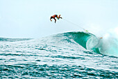INDONESIA, Mentawai Islands, Kandui Resort, surfer diving over the back of a wave, Bankvaults