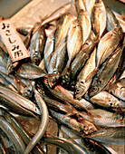 JAPAN, Kyushu, fish for sale at the Naka-Machi Market