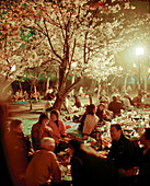 JAPAN, Kyushu, people picnicking under cherry blossom trees, Cherry Blossom Festival