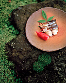JAPAN, Kyushu, grilled fish served on Karatsu Pottery, Hisago Restaurant