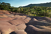 MAURITIUS, Chamarel, landscape at Seven Coloured Earth, a geological formation that was the first tourist attraction in Mauritius