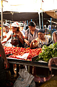 MAURITIUS, Flacq, the largest open air market in Mauritius, Flacq Market, buying fresh tomatoes