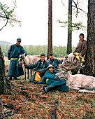 MONGOLIA, Khuvsgul National Park, group of men with reindeers at a farm near Khuvsgul Lake