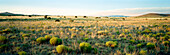 USA, New Mexico, Albuquerque, panorama landscape