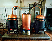 SWITZERLAND, Couvet, copper vats used to produce Absinthe at the Artemisia Distillerie, Jura Region