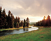 USA, Wyoming, Nez Pearce Creek landscape with trees at dusk, Yellowstone National Park