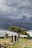 USA, Wyoming, Encampment, wrangelrs on a mountain top wait for trail riders near a dramatic tree, Abara Ranch