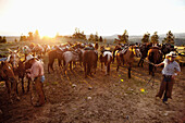 USA, Wyoming, Encampment, wranglers gather horses for guests at a dude ranch, Abara Ranch