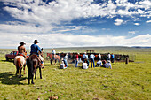 USA, Wyoming, Encampment, cowboys brand cattle at Big Creek Ranch