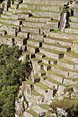 Detail of Terraces at Machu Picchu, Cusco, Cuzco, Peru, Andes, South America