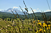 In den Buckelwiesen am Karwendelgebirge mit Wettersteingebirge, bei Mittenwald, Landschaften in Bayern, Deutschland