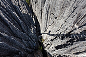 Schatten einer Hängebrücke in der Karstlandschaft Tsingy de Bemaraha, Nationalpark Tsingy-de-Bemaraha, Mahajanga, Madagaskar, Afrika