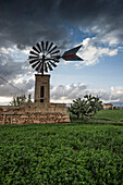Windmühlen, Sant Jordi, bei Palma de Mallorca, Mallorca, Spanien