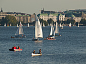 Boats on Lake Alster in the city centre of Hamburg, Hanseatic City of Hamburg, Germany