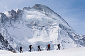 Gruppe Skifahrer beim Aufstieg von Zermatt zur Schönbielhütte, Dent d Herens im Hintergrund, Kanton Wallis, Schweiz