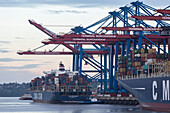Containerschiff wird Be- und Entladen am Container terminal Burchardkai, Waltershofer Hafen, Hamburg, Deutschland