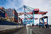 Containerschiff wird Be- und Entladen am Container terminal Burchardkai, Hamburg, Deutschland