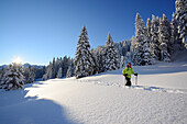 Female backcountry skier, Teufelstaettkopf, Ammergau Alps, Upper Bavaria, Bavaria, Germany