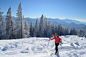 Frau auf Skitour steigt zum Hörnle auf, Ammergauer Alpen, Oberbayern, Bayern, Deutschland