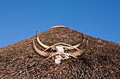 Huettendach in Xhosa Siedlung, Wild Coast, Ostkap, Suedafrika