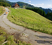 Schatten zwei Wanderinnen auf einem Pfad, Alpe-Adria-Trail, Nockberge, Kärnten, Österreich