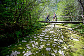 Two female hikers passing a swing bridge, Nockberge, Carinthia, Austria