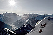 Snowboarder fährt im Tiefschnee bergab, Thaneller, Lechtaler Alpen, Tirol, Österreich