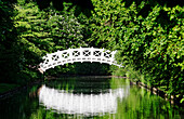 Chinese bridge, also called Palladio bridge over a canal in the gardens of Schwetzingen castle, the bridge was designed by Andrea Palladio, Schwetzingen, Baden-Wuerttemberg, Germany