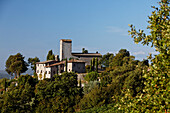 Castello d'Albola, Radda in Chianti, Toskana, Italien