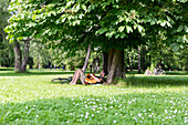 Mann spielt Gitarre unter einem Baum, Friedenspark, Leipzig, Sachsen, Deutschland