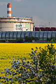 OMV Schwechat, Raffinerie, Rapsfeld, Schwechat, Niederösterreich, Österreich