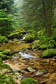 Gießenbach, Stillensteinklamm, Grein an der Donau, Oberösterreich, Österreich